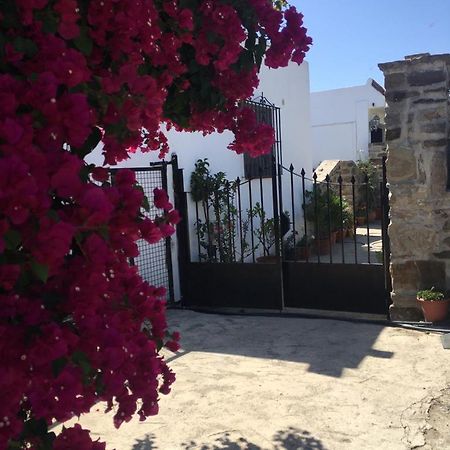Apartamento Las Adelfas Tarifa Zewnętrze zdjęcie