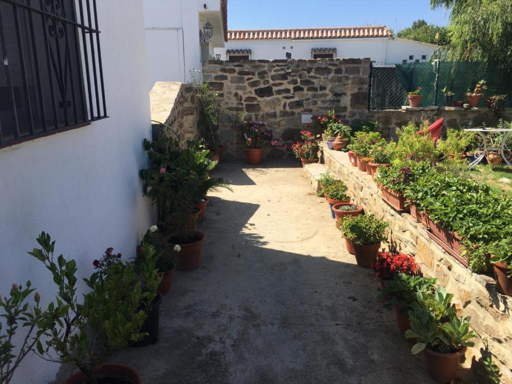 Apartamento Las Adelfas Tarifa Zewnętrze zdjęcie