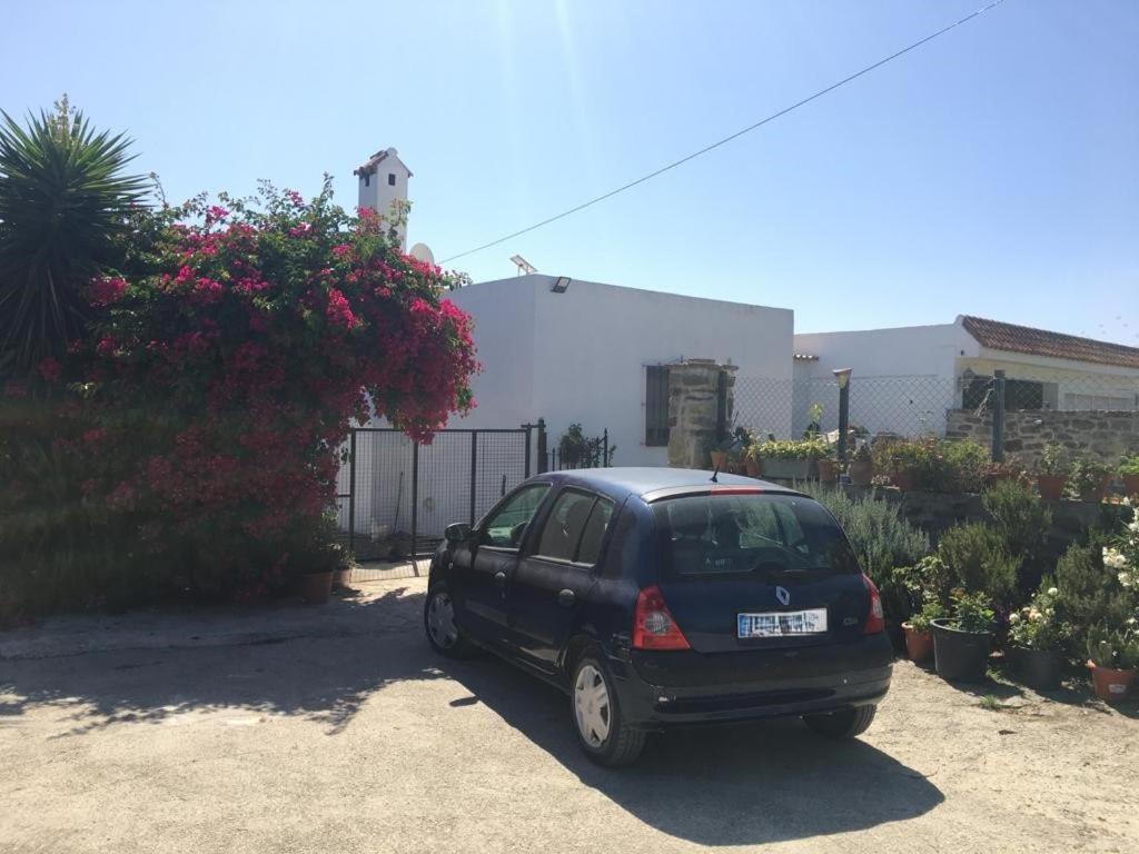 Apartamento Las Adelfas Tarifa Zewnętrze zdjęcie